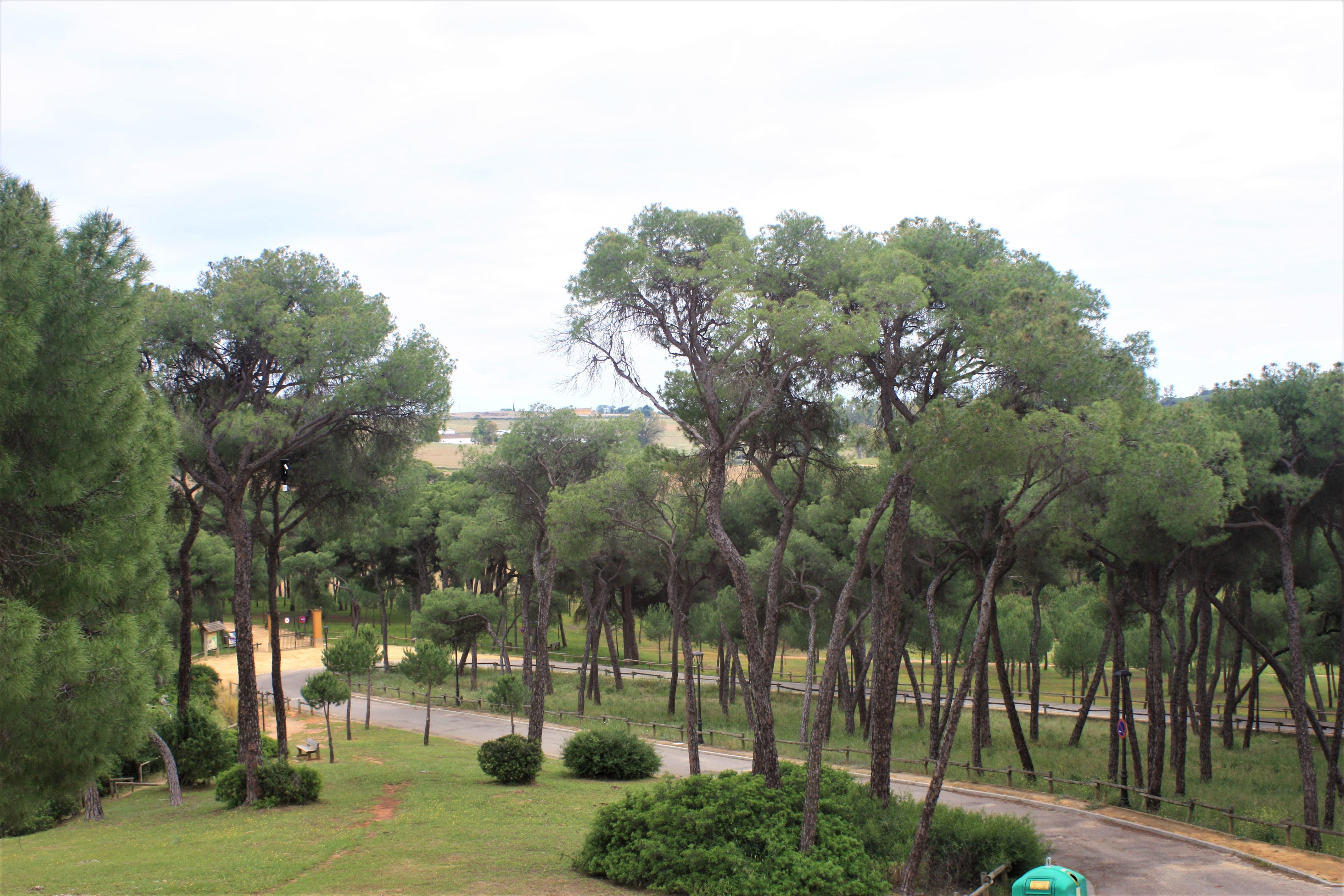 Hotel Oromana Alcalá de Guadaira Eksteriør billede