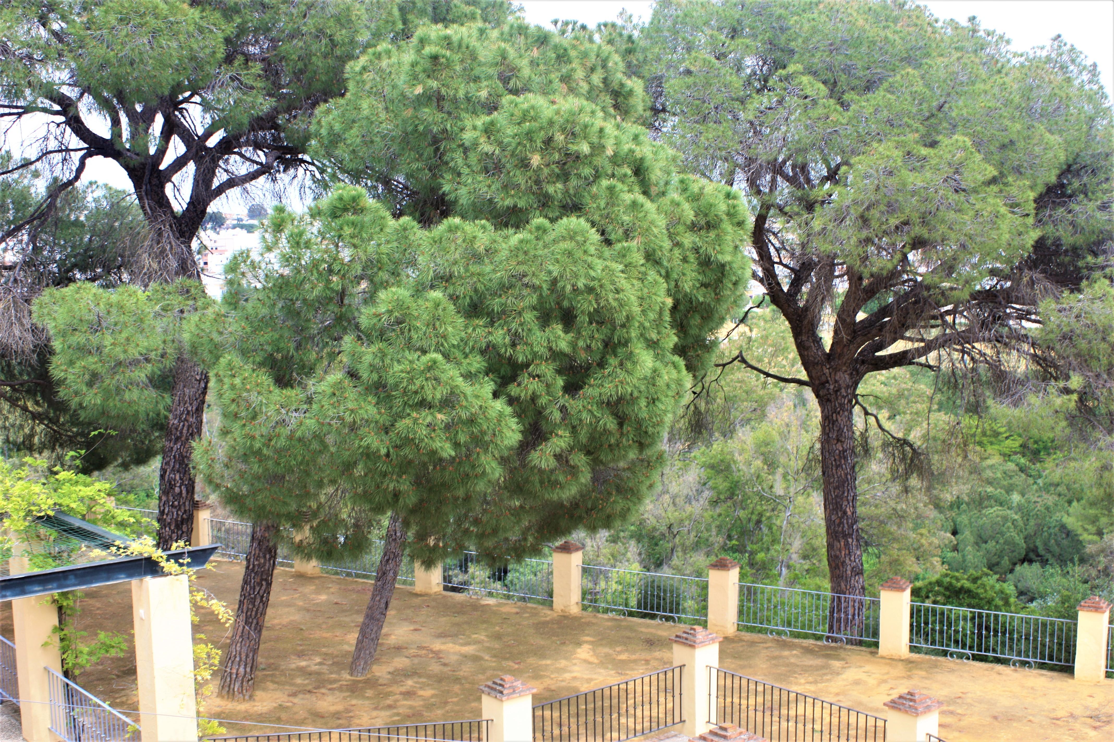 Hotel Oromana Alcalá de Guadaira Eksteriør billede