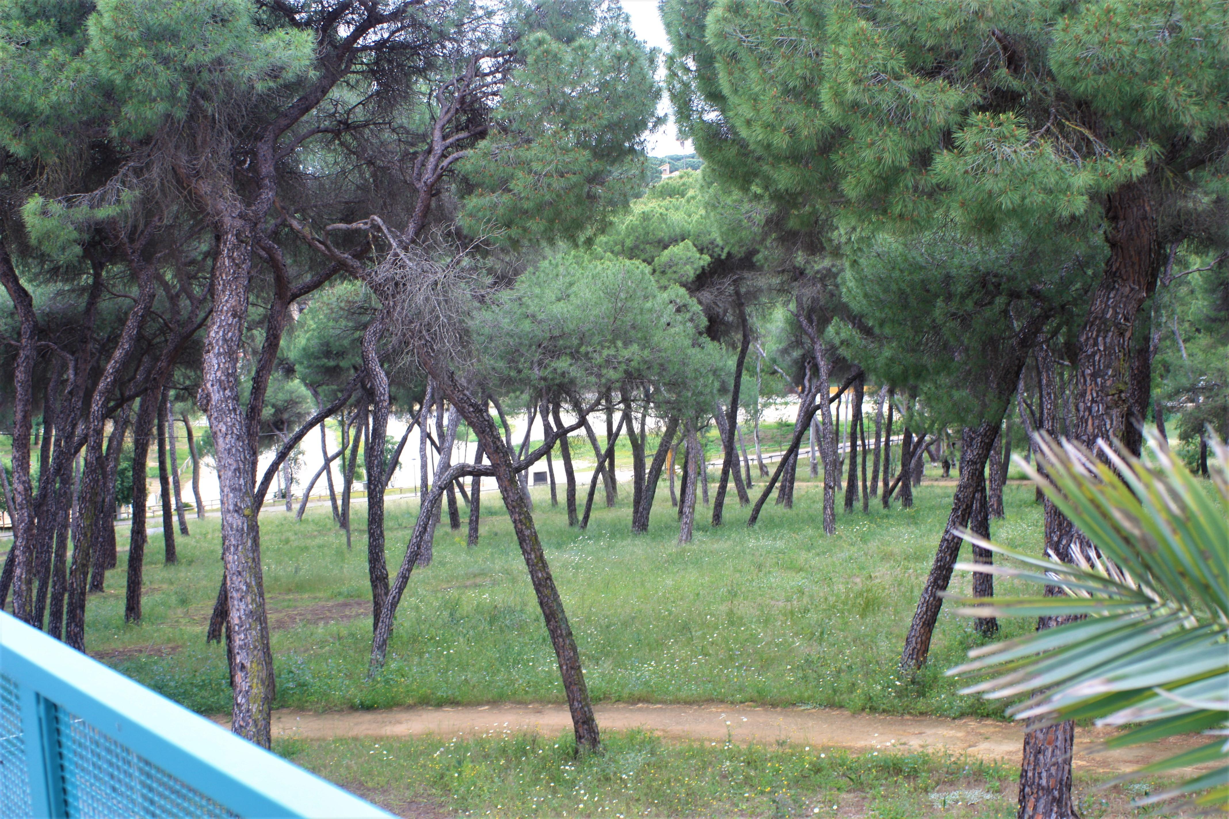 Hotel Oromana Alcalá de Guadaira Eksteriør billede