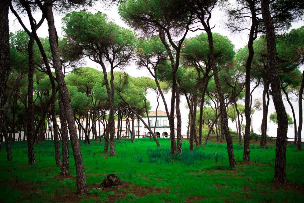Hotel Oromana Alcalá de Guadaira Eksteriør billede